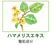 �ϥޥ�ꥹ����������ȩ��ʬ