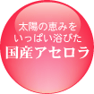 ŷ���ӥ��ߥ�ù񻺥�������