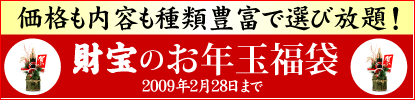 �����Τ�ǯ��ʡ��