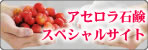 ���������и����ڥ���륵����